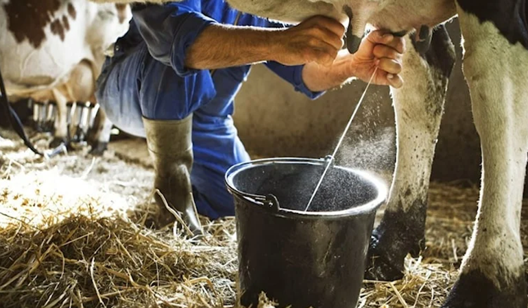 Çiğ süte yüzde 35,2 zam