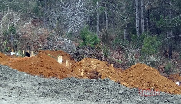 Coronada can kaybı 131'e yükseldi