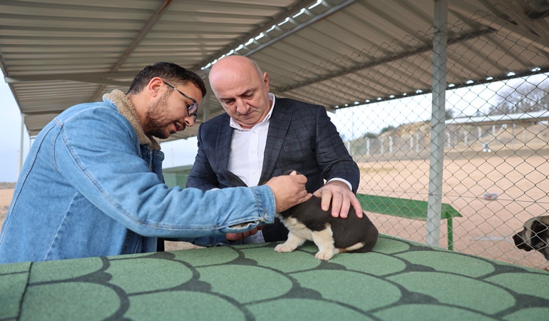 Darıca’da sokak hayvanlarına güvenli bir barınak