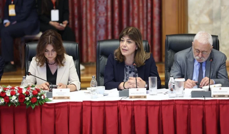 DEM'lilerin derdi PKK canisinin serbest kalması!