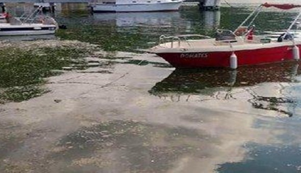 Deniz salyası yayılıyor