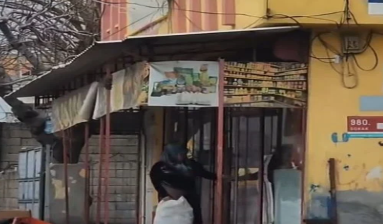 Deprem bölgesine giden yardımlara Suriyeliler çöktü