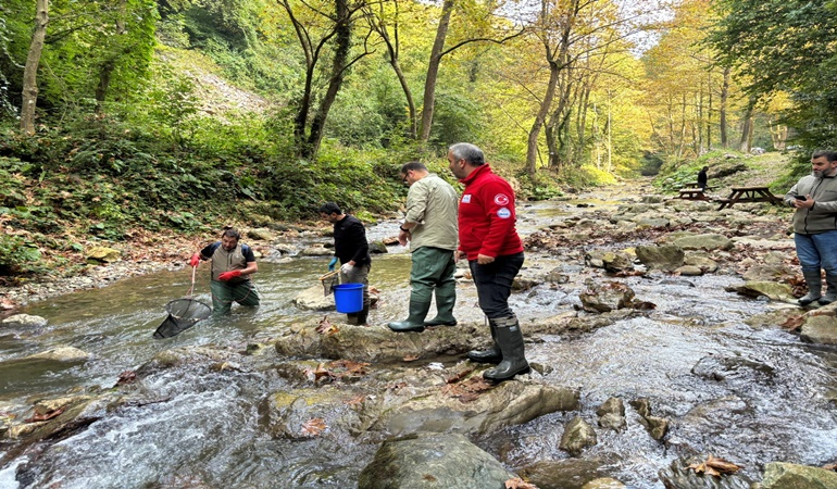 Dere ve tatlı sulara binlerce balık salınacak