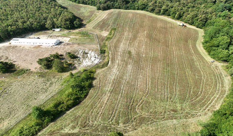 Derince’de aspir hasadı yapıldı