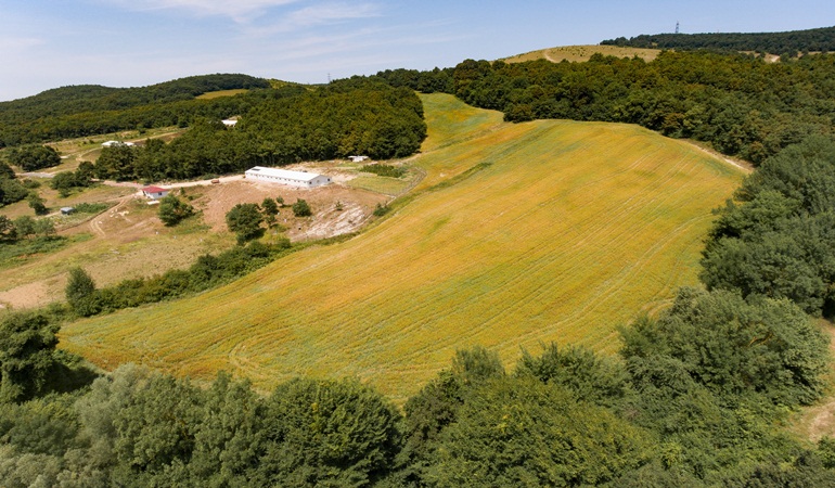 Derince’de aspir tohumları bereketiyle yeşerdi
