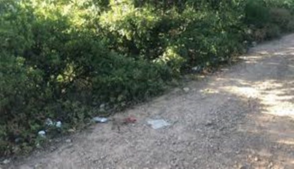 Derince'de ormanlık alandaki silahlı kavga ölümle bitti