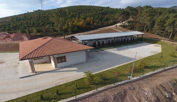 Derince’de sokak hayvanlarına sıcak bir yuva