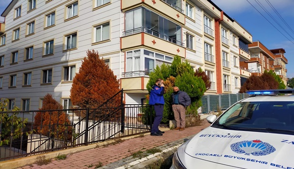 Devriye gezerken fark ettiler