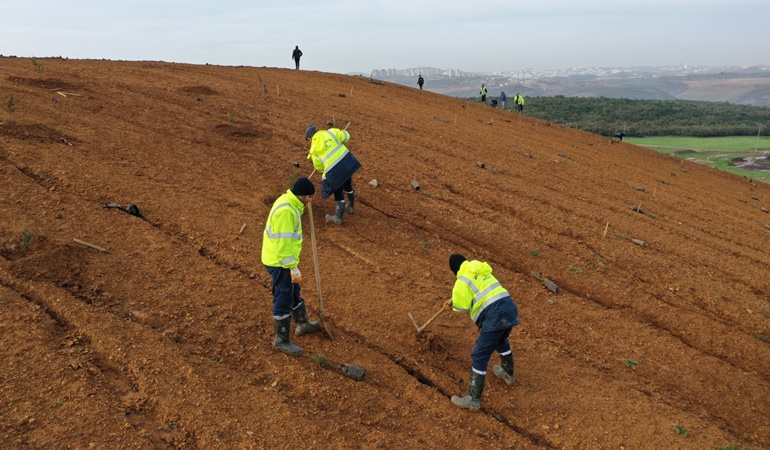 Dilovası’na 8 bin ağaç dikildi