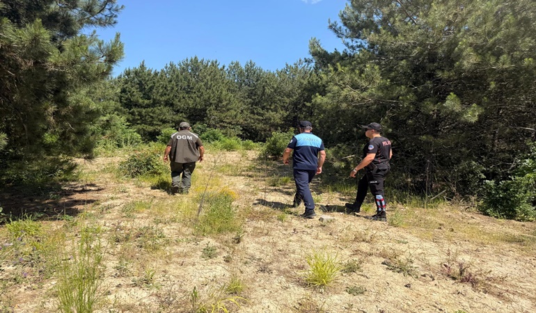 Dilovası’ndaki ormanlık alanlarda yangın denetimi