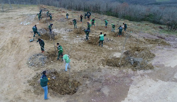 Dolgu alanından meyve bahçesine
