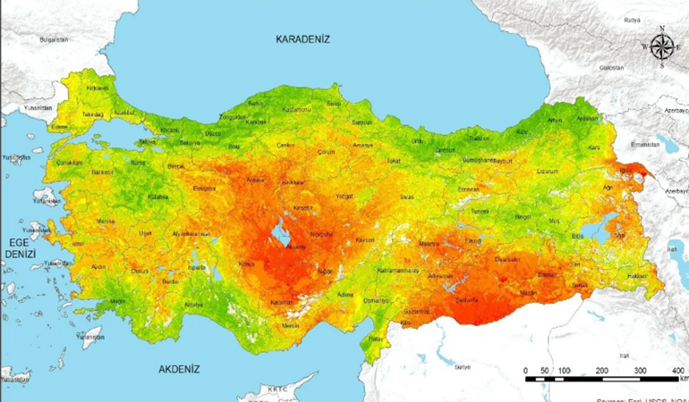 Dünya genelinde bile 6 milyar 572 milyon ağaç dikilemez!