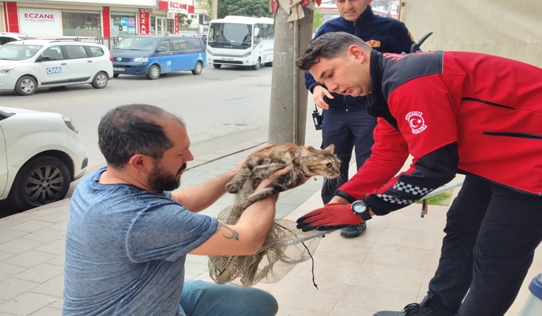 Duvara sıkışan kediyi İtfaiye kurtardı