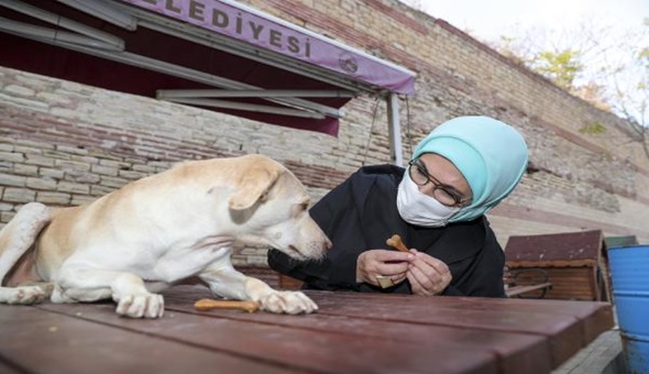 Emine Erdoğan engelli köpeğe sahip çıktı