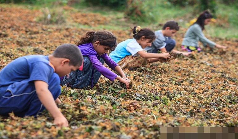 En az 695 çocuk işçi hayatını kaybetti