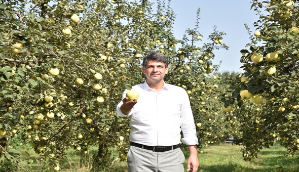 Eşme ayvası 11 ülkede ağızları tatlandıracak