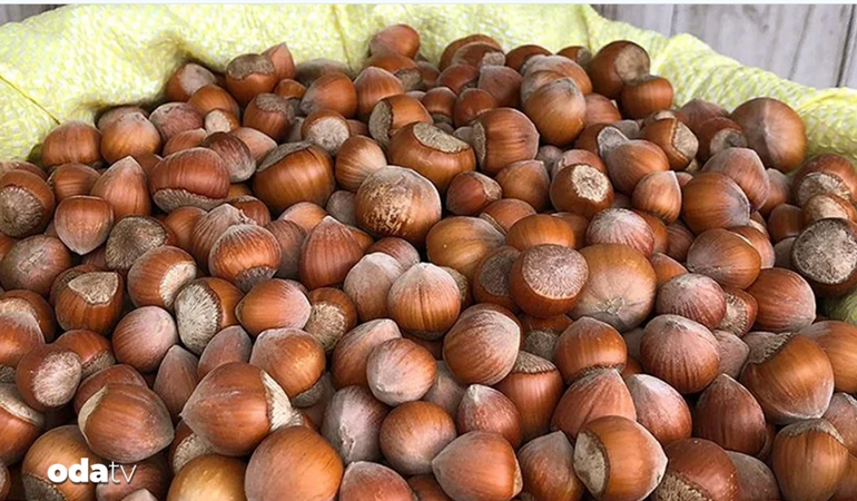 Fındık alım fiyatları açıklandı
