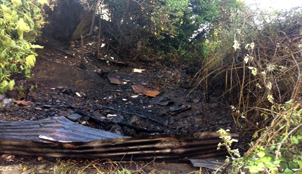 Fındık bahçesinde feci ölüm