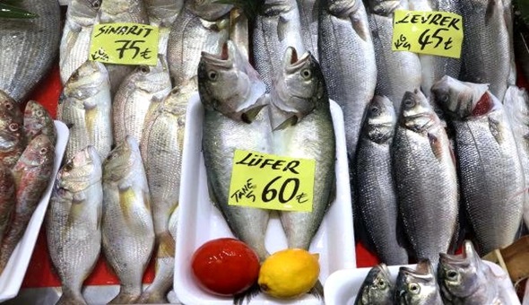 Fiyata balkın! Balık da zengin yemeği oldu