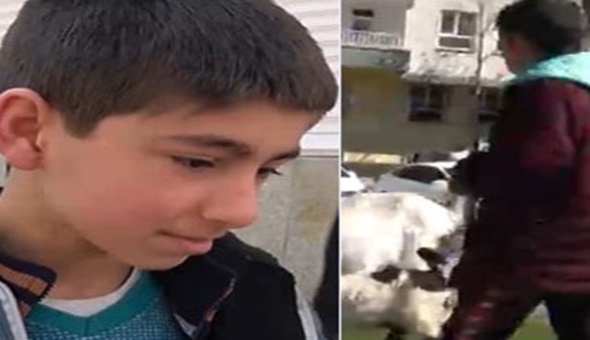 Garibanlık yasak tanımıyor... 