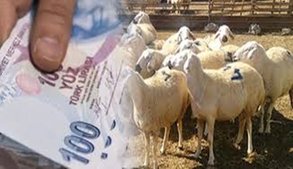 Gebze'de sahte para ile kurban almaya kalkıştılar