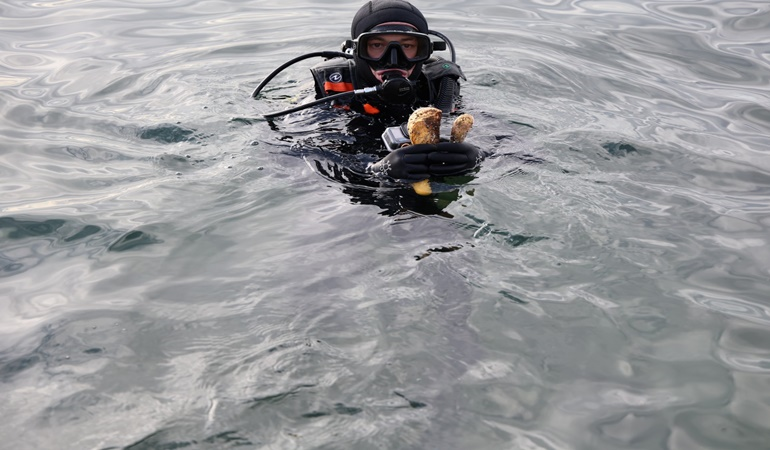 Gebze Eskihisar Sahili’nde dip temizliği 