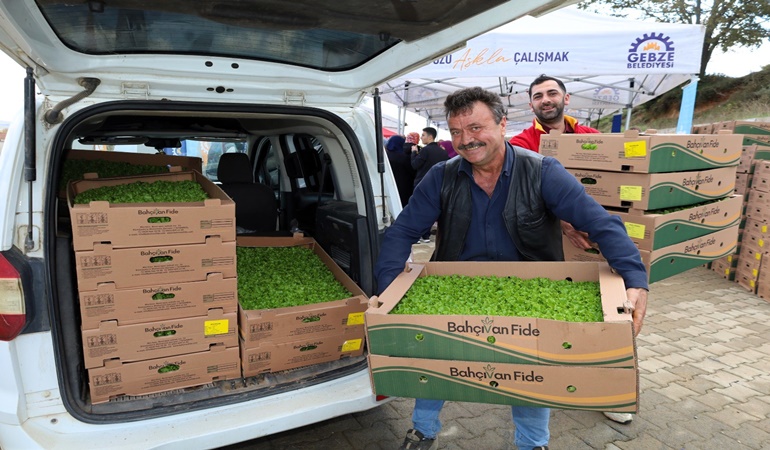 Gebzeli çiftçilere 500 bin sebze fidesi hibe edildi