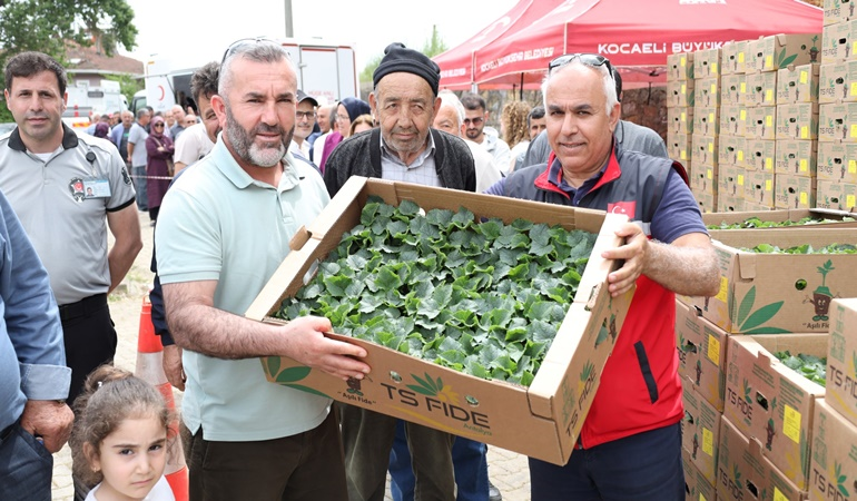 Gebzeli çiftçiye 500 bin sebze fidesi desteği 