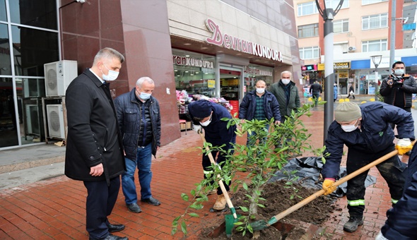 Gölcük Belediyesi’nin çevresi mis gibi kokacak