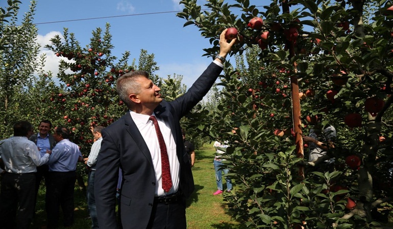 Gölcük’te İhsaniye Elma Festivali heyecanı