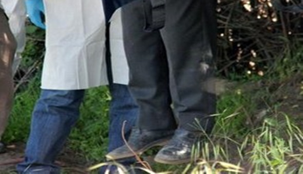 Gölcük'te yaşlı adam ağaca asılı halde bulundu