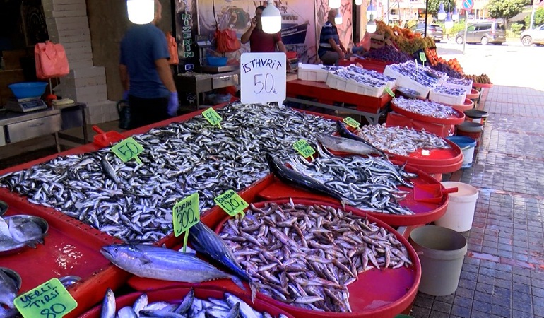 Hamsi bollaştı, fiyatı düştü