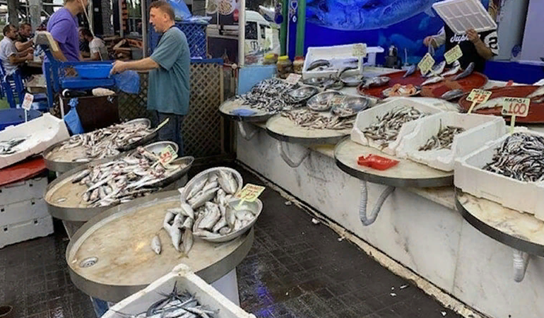 Hamsinin kilosu 100 TL