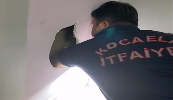 Havalandırma boşluğunda mahsur kalan kediyi itfaiye kurtardı