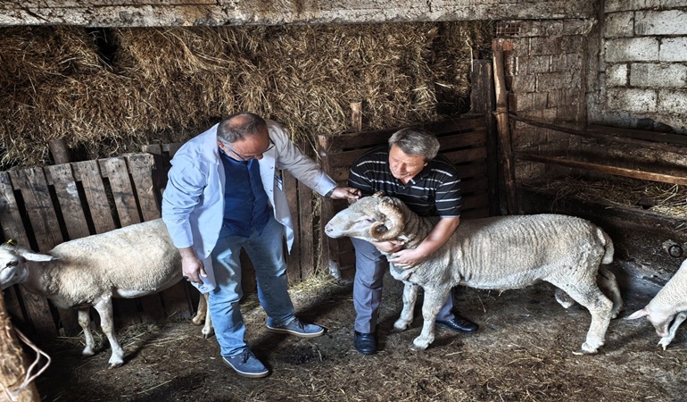 Hayvan desteğinde bulunulan üreticilere rehberlik ediliyor