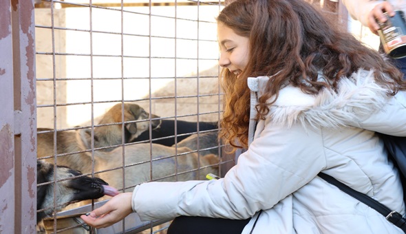 Hayvan sahiplendirme rekoru kırıldı
