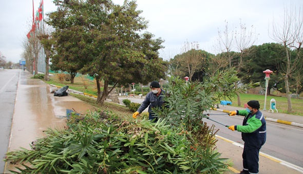 Hedefimiz daha yeşil bir Derince