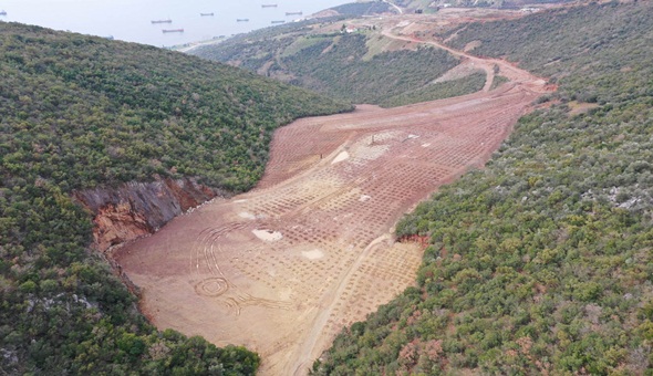 Hereke dolgu alanına 10 bin 500 ağaç dikildi