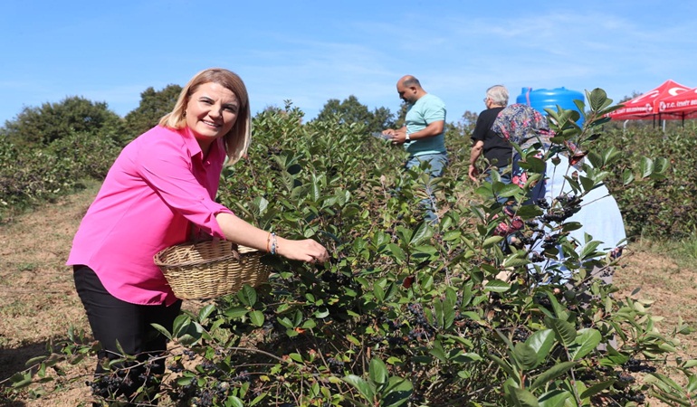Hürriyet: İzmit, aronyanın vatanı haline gelebilir