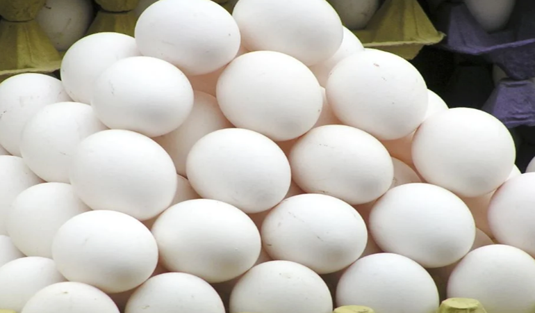 İade edilen 127 ton zehirli yumurtaya ne oldu?