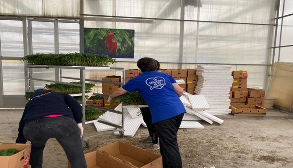 İBB’nin hibe fide desteği İzmitliler için yola çıktı