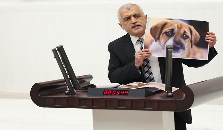 İnsanları cezaevlerine attığınız yetmedi, hayvanları da barınaklara tıkıyorsunuz