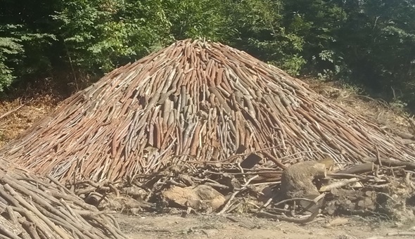 İş bilenin kılıç kuşananın!