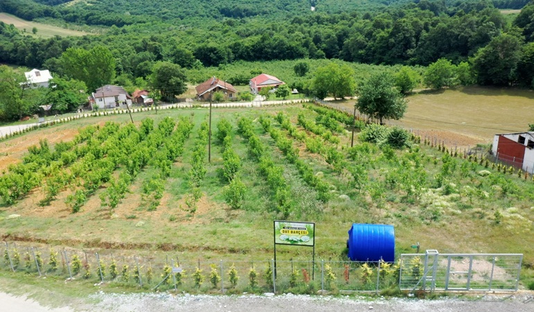 İzmit Belediye ipek böceği projesiyle ilgili o iddiaları yalanladı