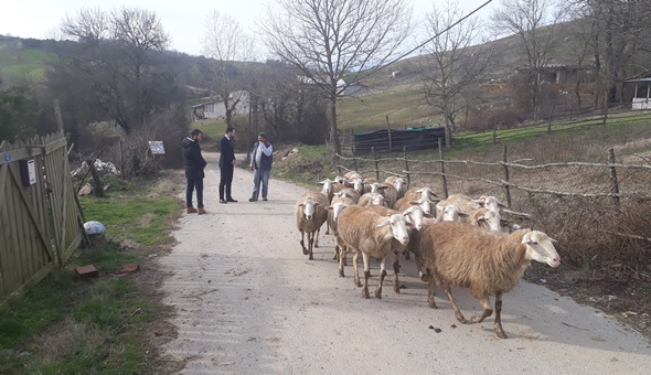 İzmit Belediyesi kırsal kalkınma için köylerde