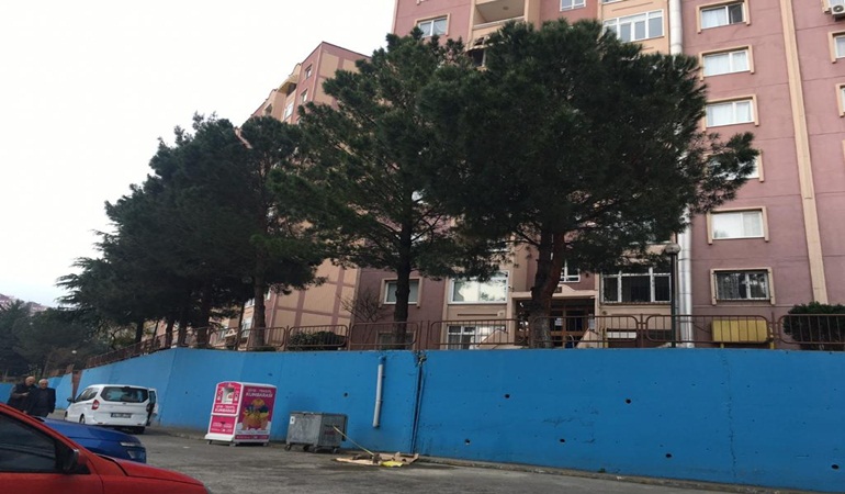 İzmit Belediyesi tehlike arz eden ağaçlara müdahale edecek 