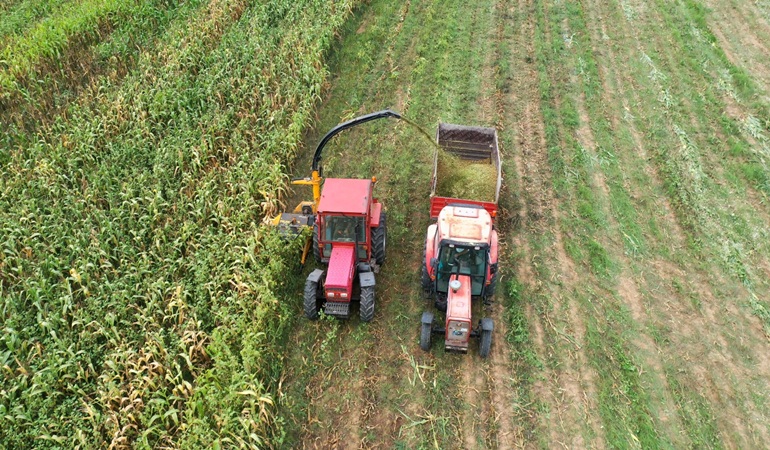 İzmit Belediyesi, yüzde 100 hibeli silaj başvurularını uzattı 