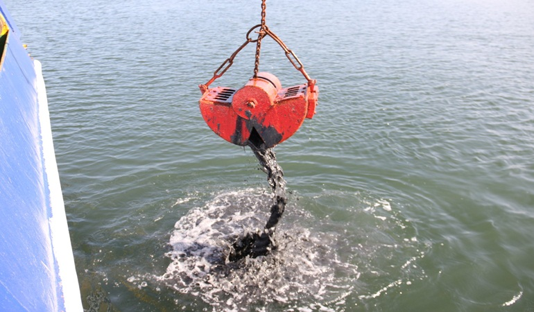 İzmit Körfezi’nde deniz yaşamı kayıt altında