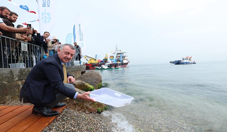 İzmit Körfezi’ne yine binlerce yavru balık salındı