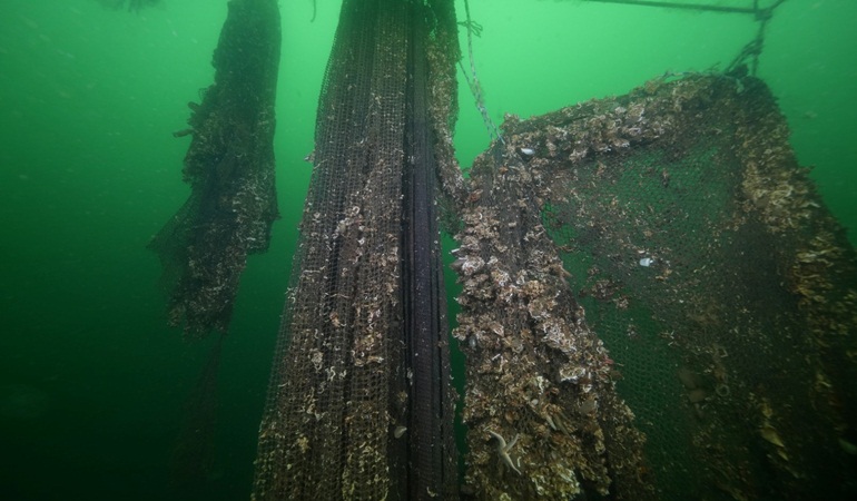 İzmit Körfezinden 5 ton hayalet ağ çıkarıldı